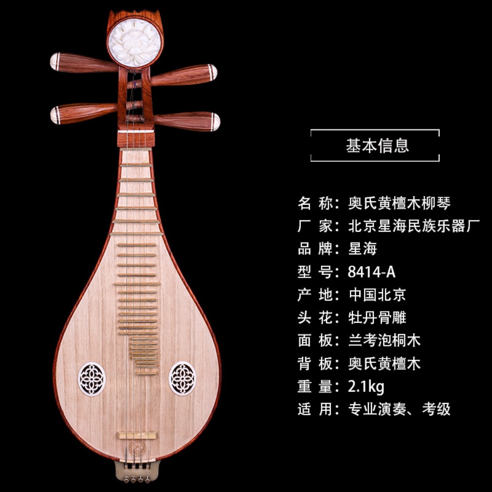 Beijing Xinghai 8414-A Rosewoo – Musical Instrument With A recenzja i cena