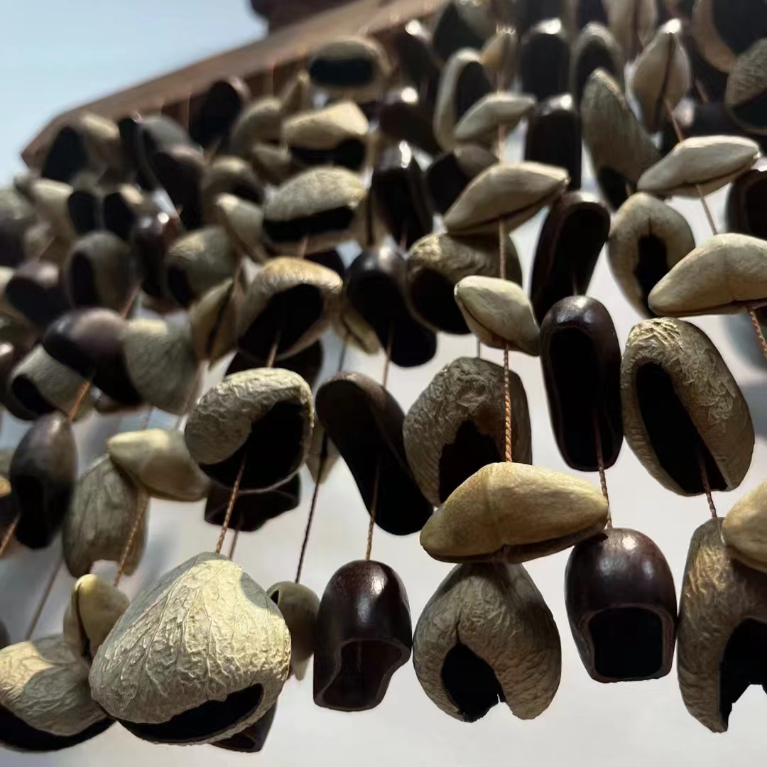 Fruit Shell Meditation Chimes  – Musical Instrument With Hand recenzja i cena