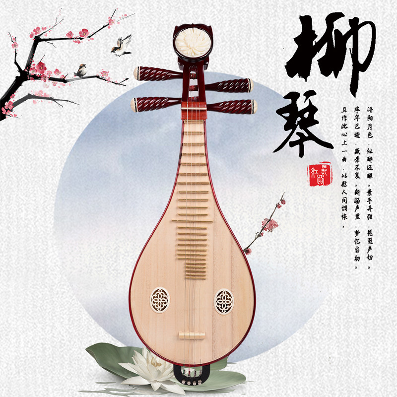 Professional Performance & Gra – Musical Instrument With A recenzja i cena