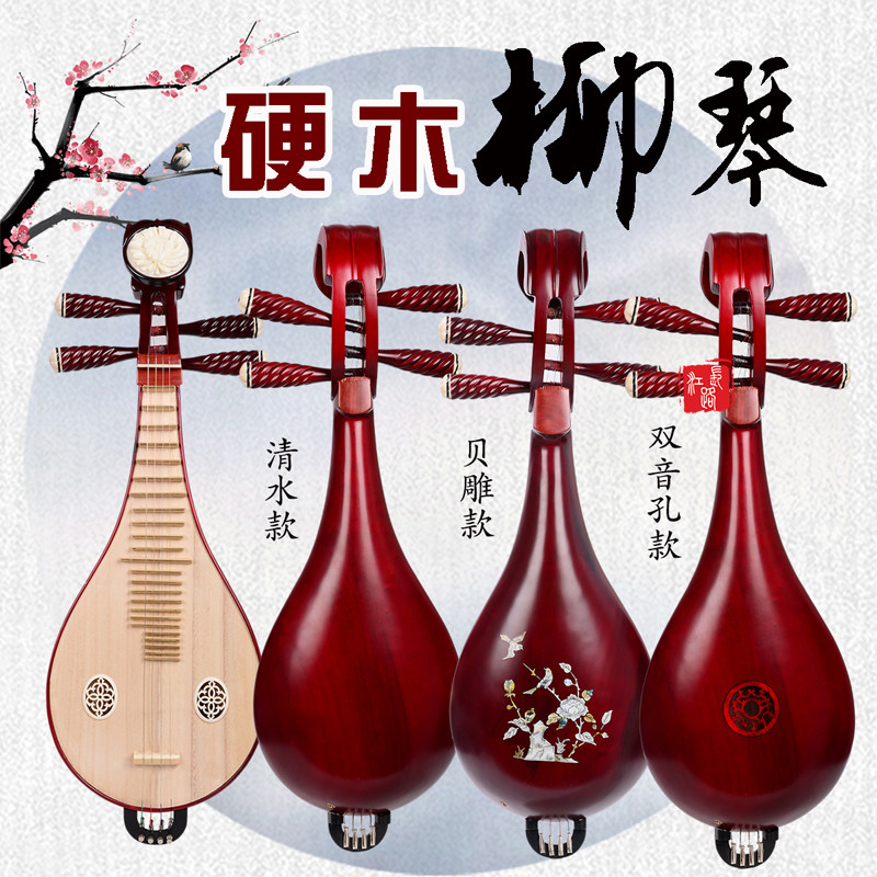 Professional Performance & Gra – Musical Instrument With A recenzja i cena