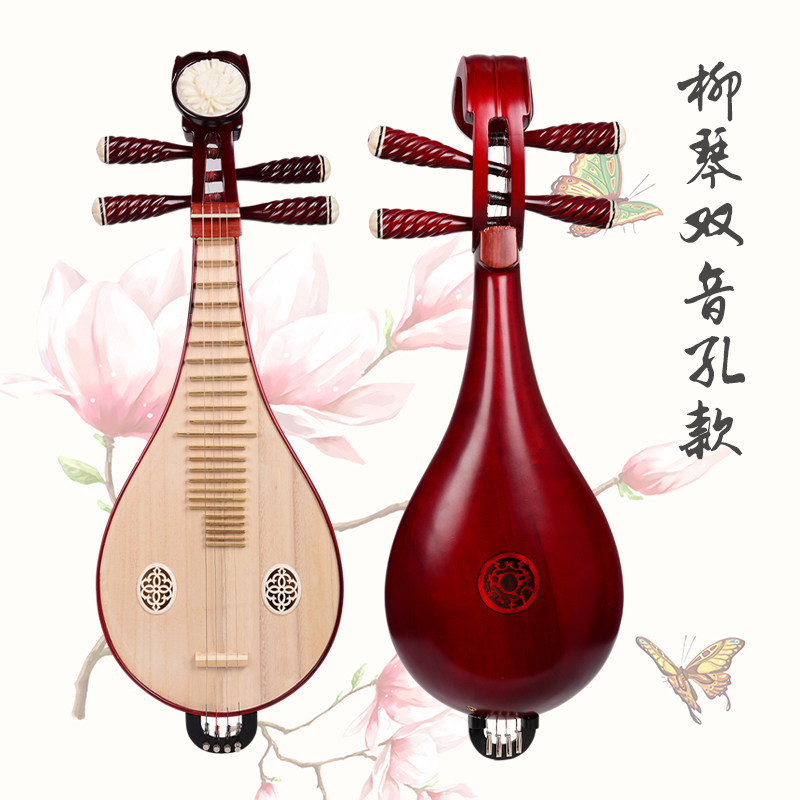 Professional Performance & Gra – Musical Instrument With A recenzja i cena
