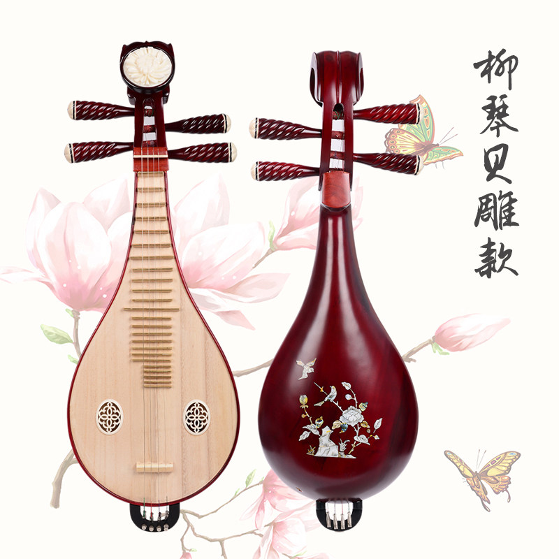 Professional Performance & Gra – Musical Instrument With A recenzja i cena