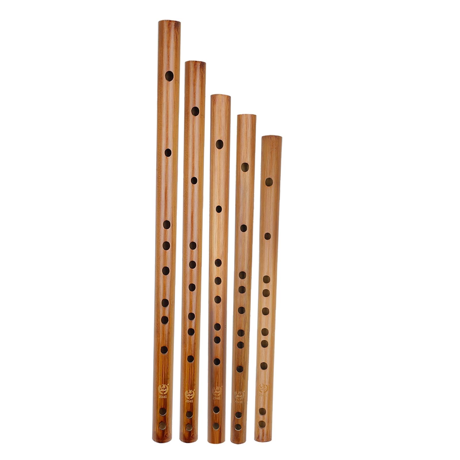 Unique Birthday Gift ,Indian W – Musical Instrument From India recenzja i cena