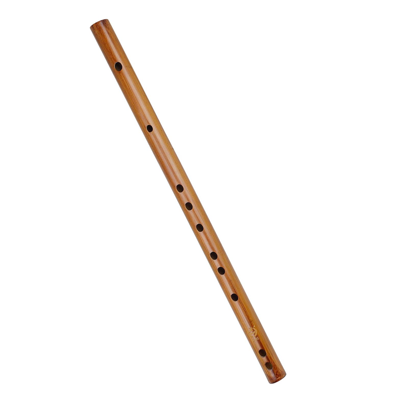 Unique Birthday Gift ,Indian W – Musical Instrument From India recenzja i cena