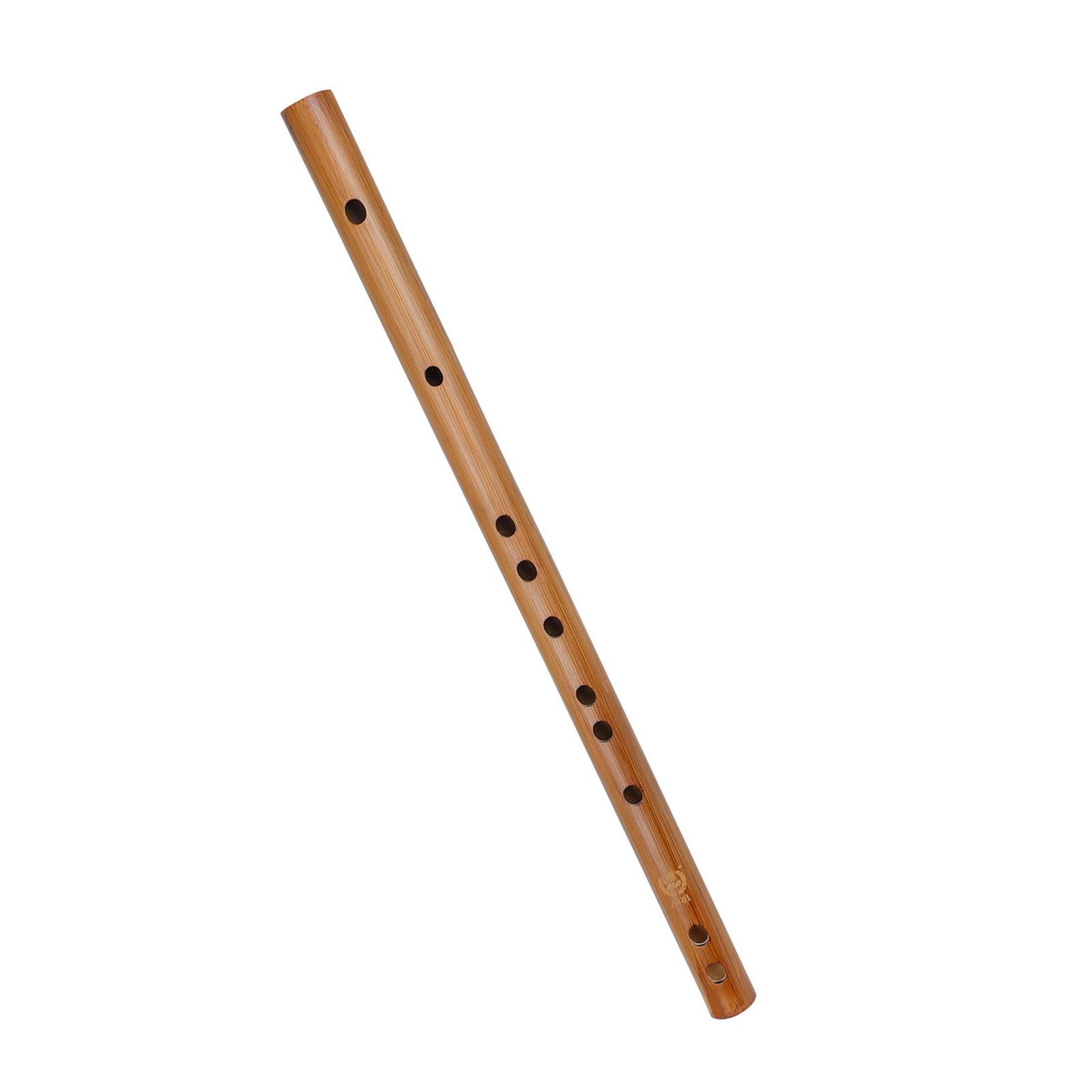 Unique Birthday Gift ,Indian W – Musical Instrument From India recenzja i cena