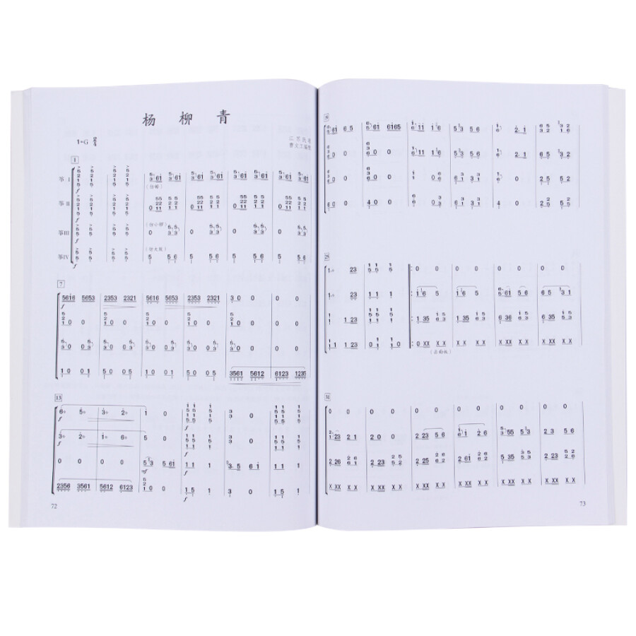 Chinese Guzheng Ensemble Music – Musical Instrument Groups recenzja i cena